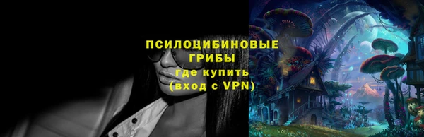 ALPHA PVP Богородицк