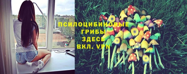 герыч Богородск