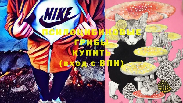 ALPHA PVP Богородицк