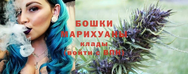 ALPHA PVP Богородицк
