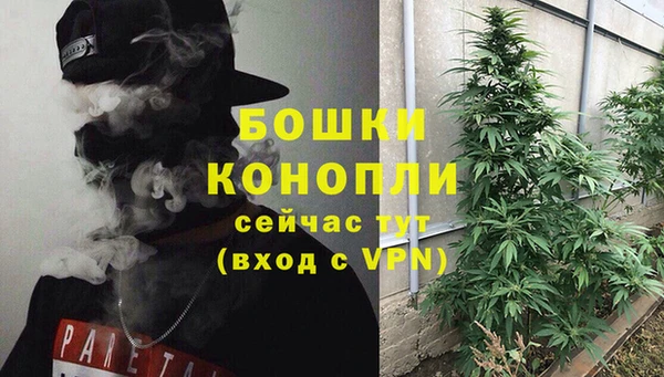 ALPHA PVP Богородицк