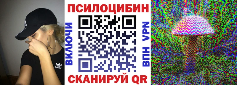 Псилоцибиновые грибы GOLDEN TEACHER  мориарти клад  Бердск 