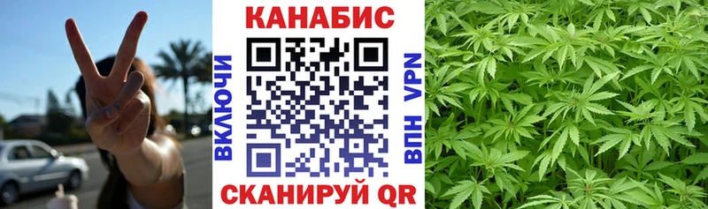 Канабис планчик  цена   Бердск 